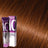 Morfose - Hair Color Cream 10 Argan Oil 100 ml / Brown - Coloration bei hairOne