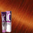 Morfose - Hair Color Cream 10 Argan Oil 100 ml / Red - Coloration bei hairOne