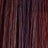 Insight - Incolor - Hydra-Color Cream red / copper / purple 100 ml - Coloration bei hairOne