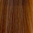 Insight - Incolor - Hydra-Color Cream red / copper / purple 100 ml - Coloration bei hairOne