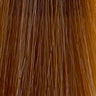 Insight - Incolor - Hydra-Color Cream red / copper / purple 100 ml - Coloration bei hairOne
